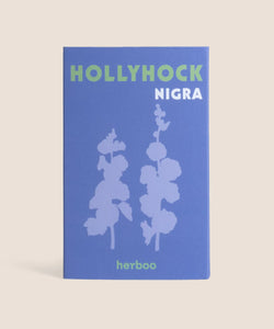 Hollyhock Nigra Seeds